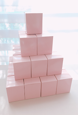 컵케익 박스 핑크 (Cupcake Box Pink)