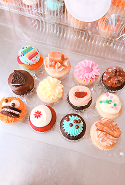 미니 컵케익 세트 (Mini Cupcake Set)